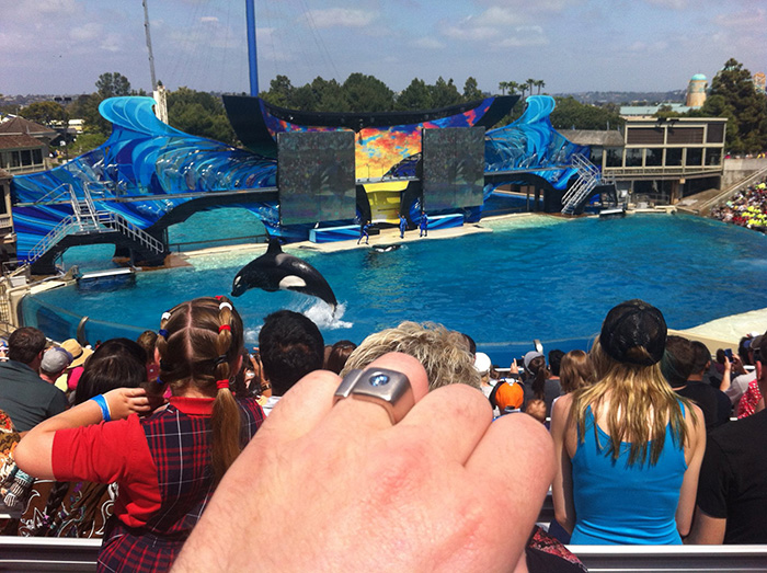 memorial-diamond-cremation-ashes-algordanza-4 memorial-diamond-cremation-ashes-algordanza-4