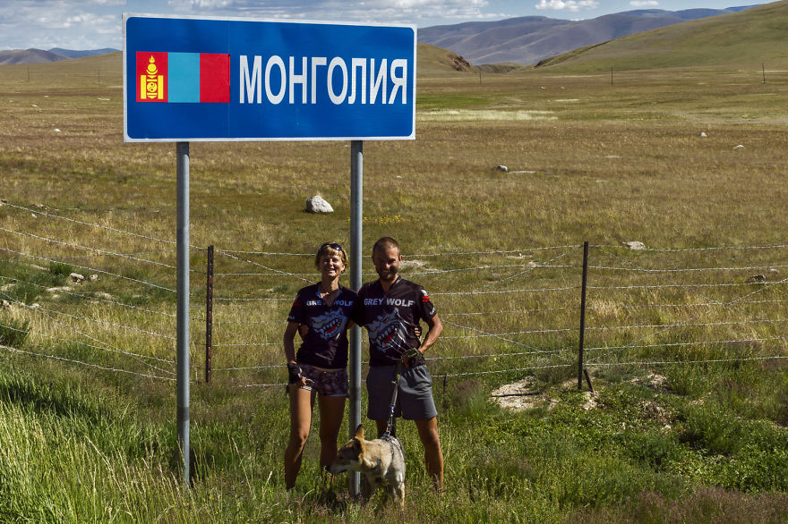 Going For A Travel? Take Your Dog With You.You Won't Regret It!