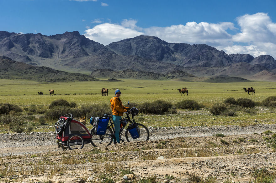 Going For A Travel? Take Your Dog With You.You Won't Regret It!