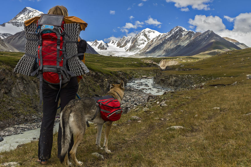 Going For A Travel? Take Your Dog With You.You Won't Regret It!