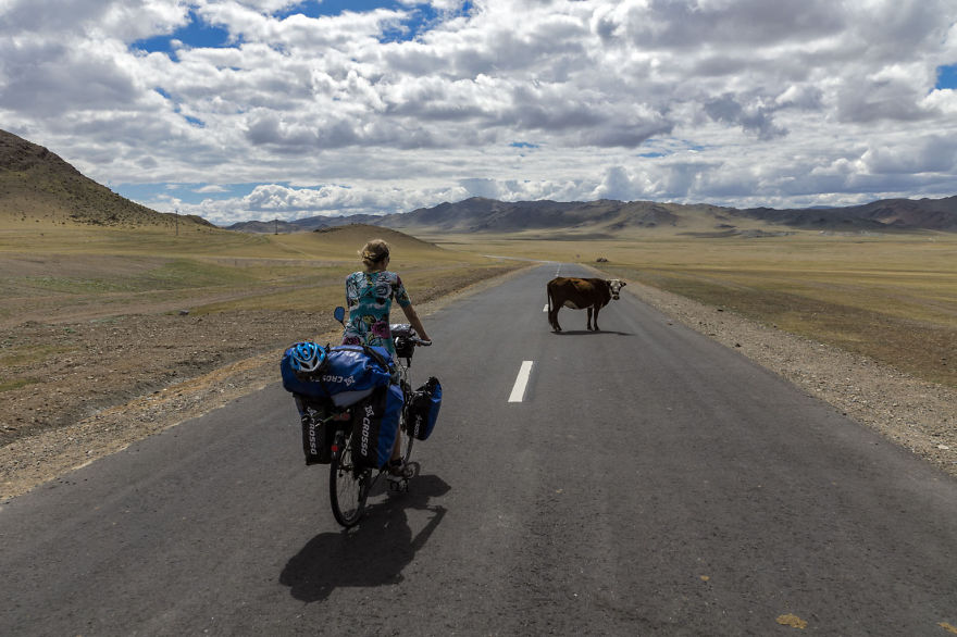 Going For A Travel? Take Your Dog With You.You Won't Regret It!