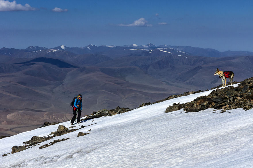 Going For A Travel? Take Your Dog With You.You Won't Regret It!