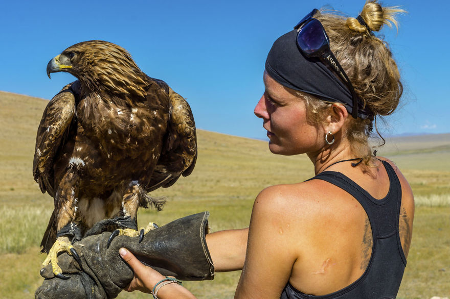 Going For A Travel? Take Your Dog With You.You Won't Regret It!