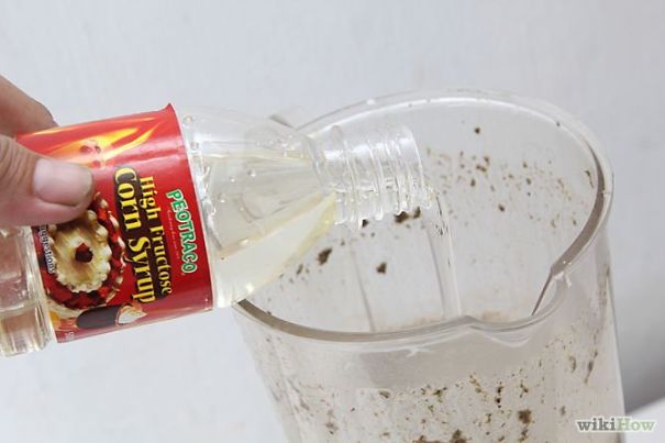 Moss Graffiti: The Coolest DIY Project Ever