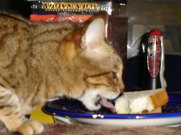 Just A Little Taste.