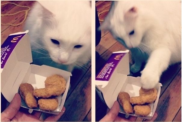 Dem Nuggets