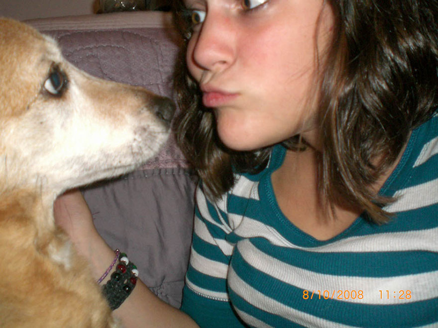 old-dog-chubby-memorial-photoshoot-maria-sharp-suzanne-price-22 old-dog-chubby-memorial-photoshoot-maria-sharp-suzanne-price-22