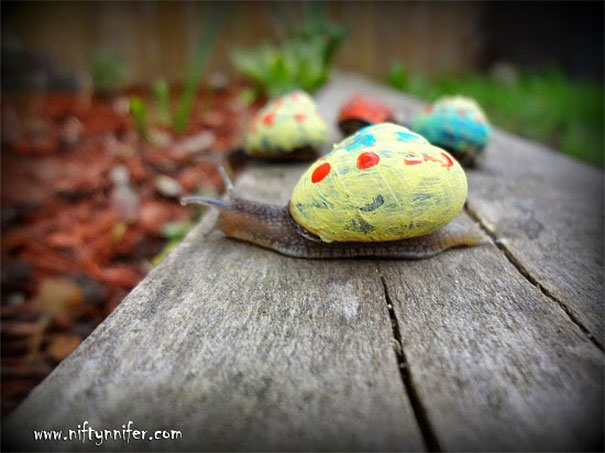 painted-snail-shell-14 painted-snail-shell-14