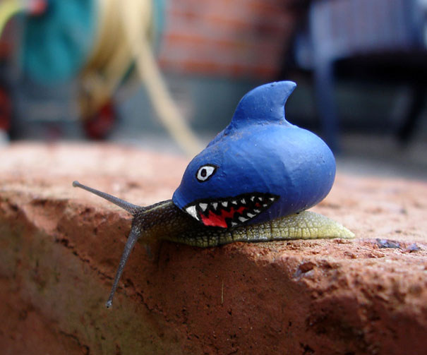 painted-snail-shell-17