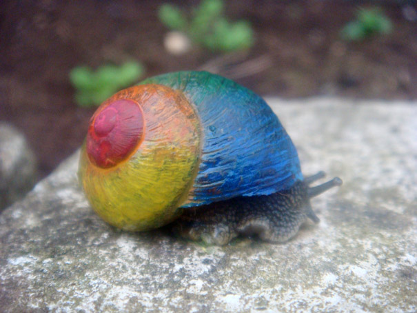 painted-snail-shell-2 painted-snail-shell-2