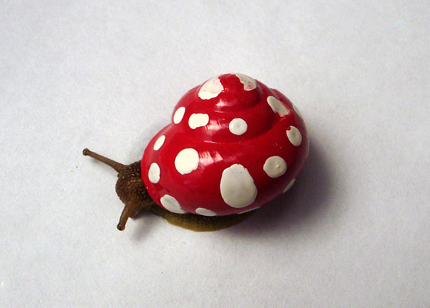 painted-snail-shell-23 painted-snail-shell-23