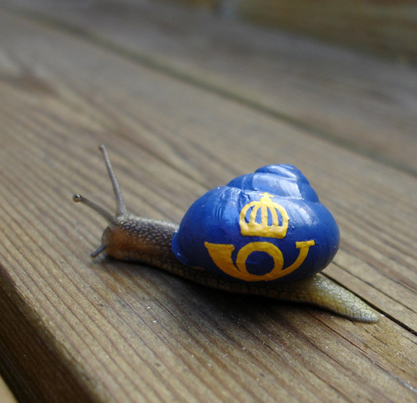 painted-snail-shell-4 painted-snail-shell-4