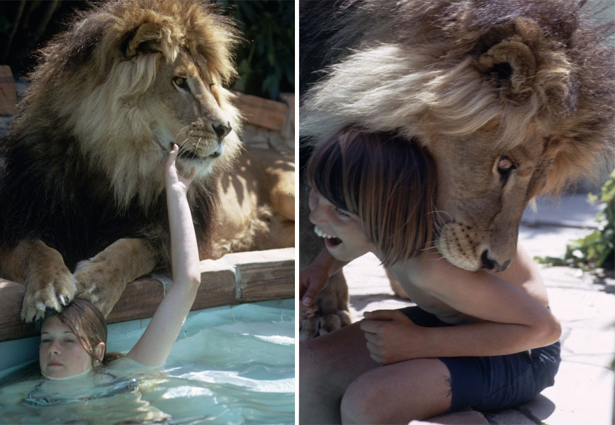 pet-lion-neil-film-michael-rougier-13 pet-lion-neil-film-michael-rougier-13