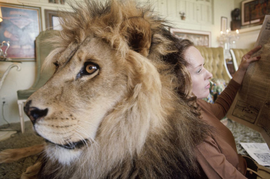 pet-lion-neil-film-michael-rougier-8 pet-lion-neil-film-michael-rougier-8