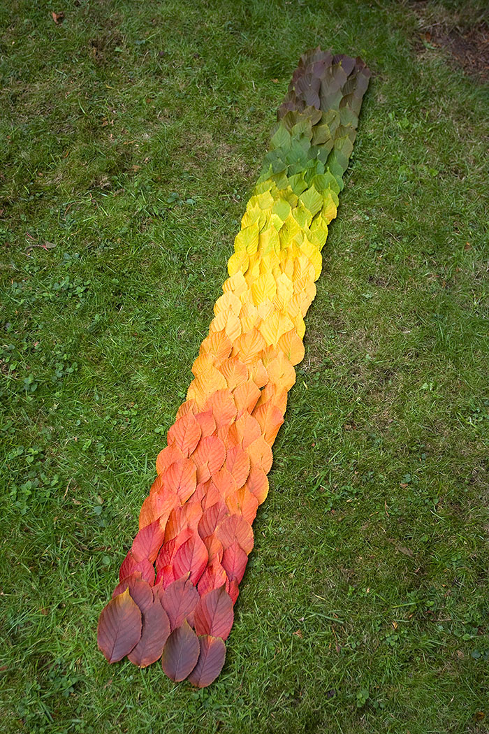 Leafy Color Spectrum