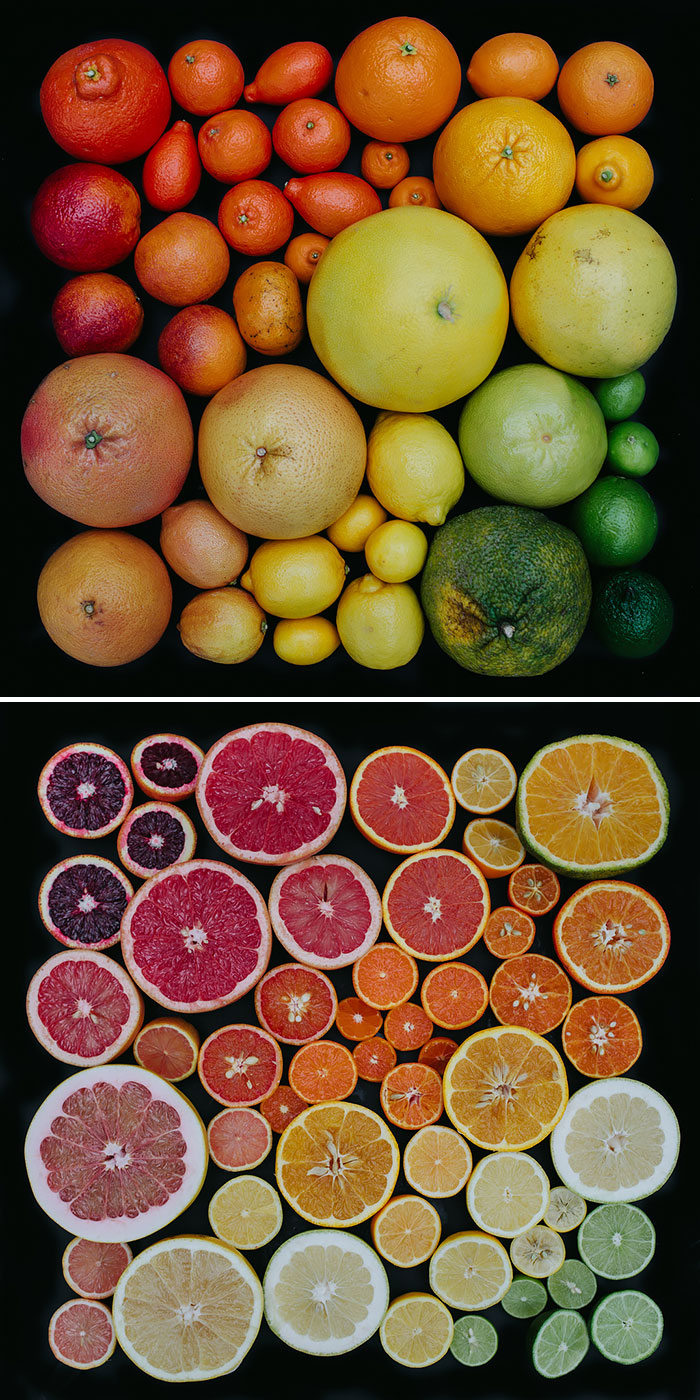 Citrus Colors