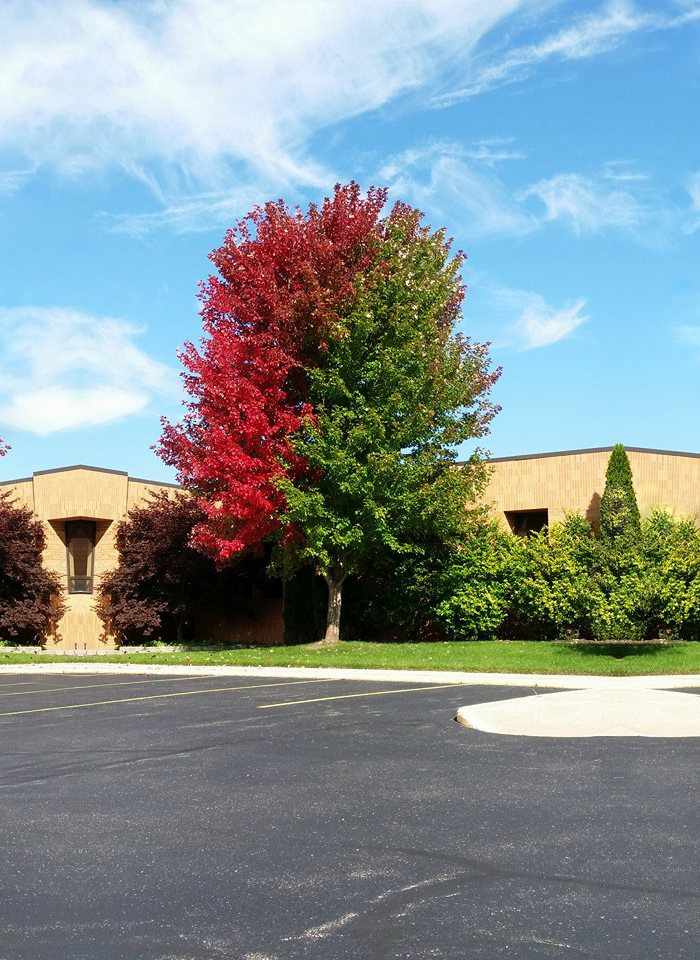 Transition Of Colors