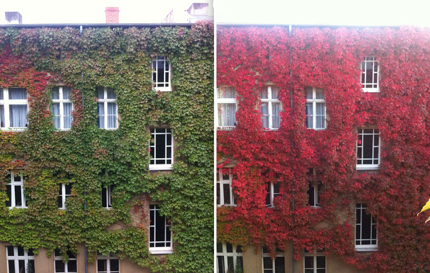 same-place-different-season-before-after-4 same-place-different-season-before-after-4