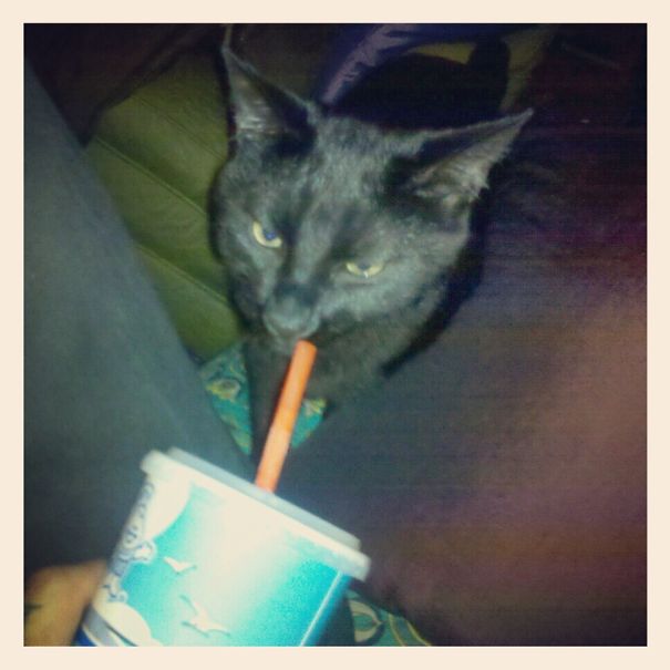 He Wants My Milkshake