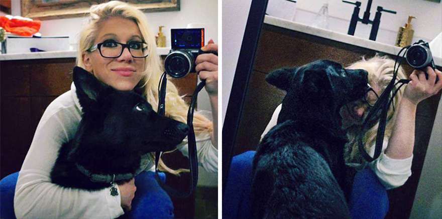 skeleton-dog-halloween-costume-non-toxic-pet-paint-14 skeleton-dog-halloween-costume-non-toxic-pet-paint-14