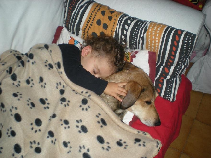 Little Babies, Big Dogs