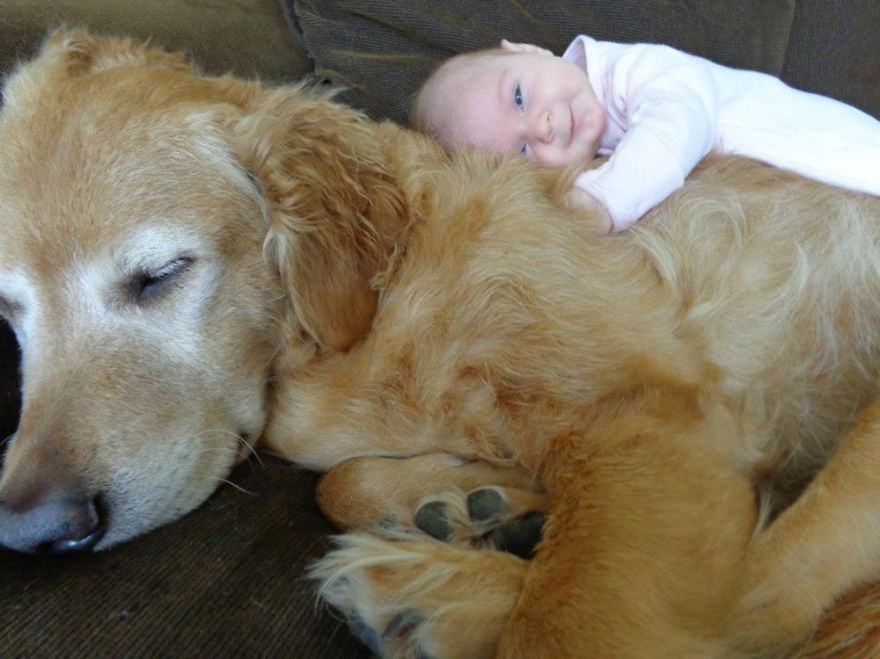 Little Baby, Big Dog