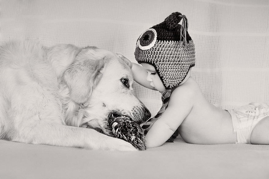 Little Baby, Big Dog