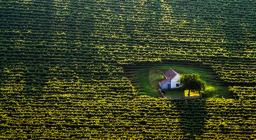 Tiny House In The Fields, Hungary