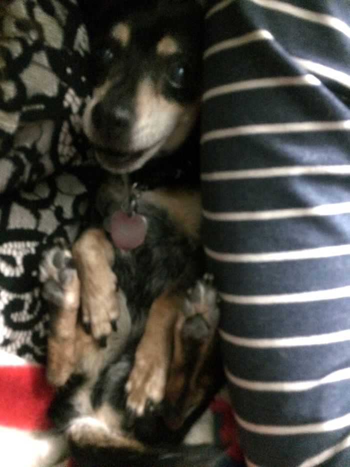 Charlie Watching A Funny Movie