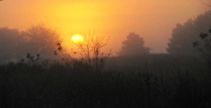 Foggy Sunrise