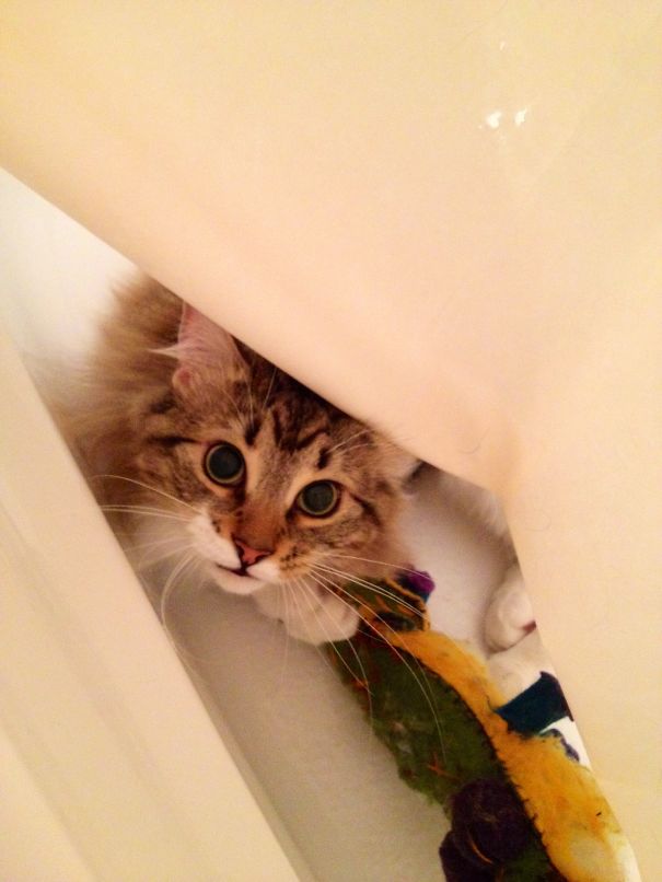 Caught In The Shower With The Teddy Bear!