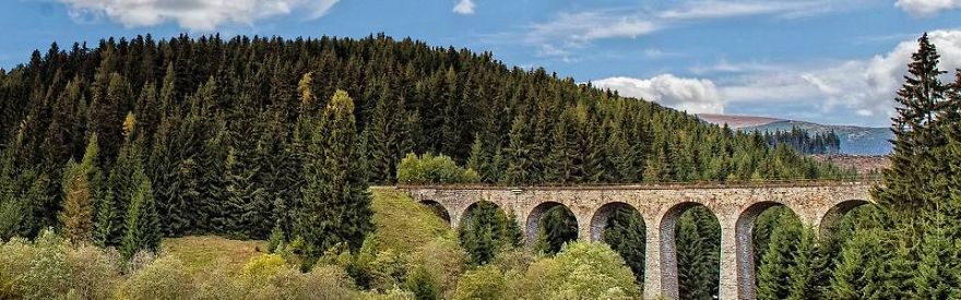Stone arch bridge surrounded by dense green forest under a blue sky, showcasing a mystical bridge in nature.