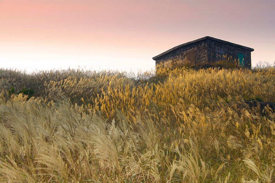 Sunset Peak On Lantau Island, Hong Kong