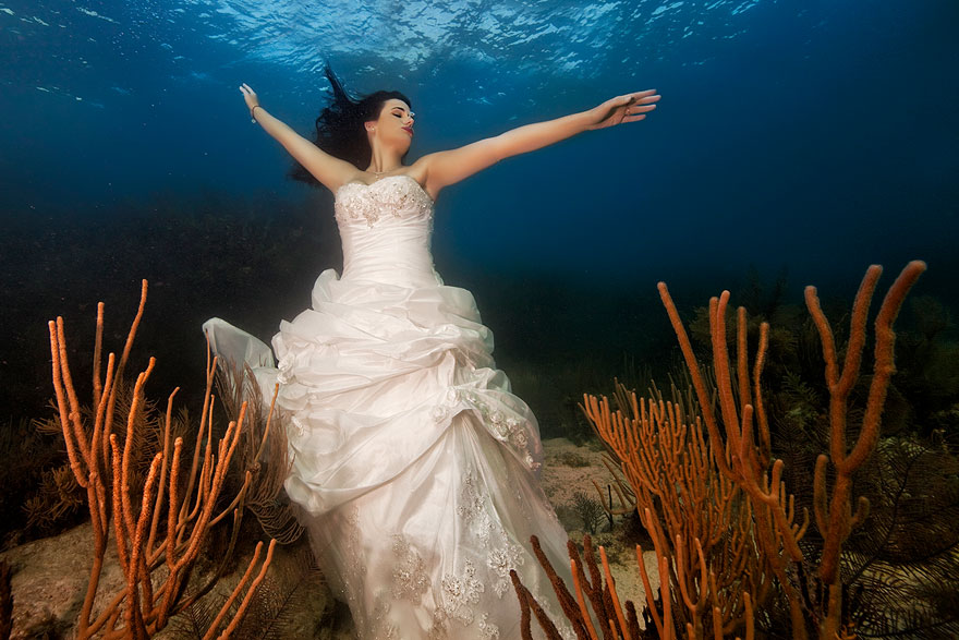 underwater-mermaid-brides-adam-opris-18 underwater-mermaid-brides-adam-opris-18