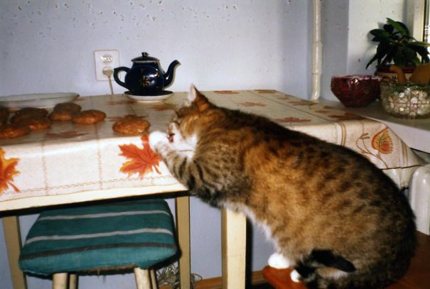 Котлеты вскуснее сырые