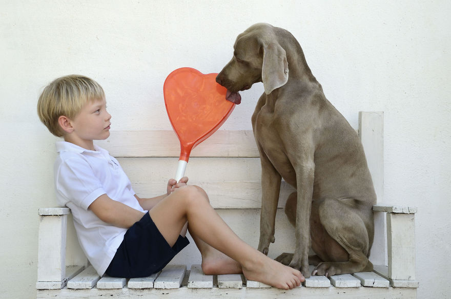 My Dog Bruma Is A Very Special Protagonist In My Photography