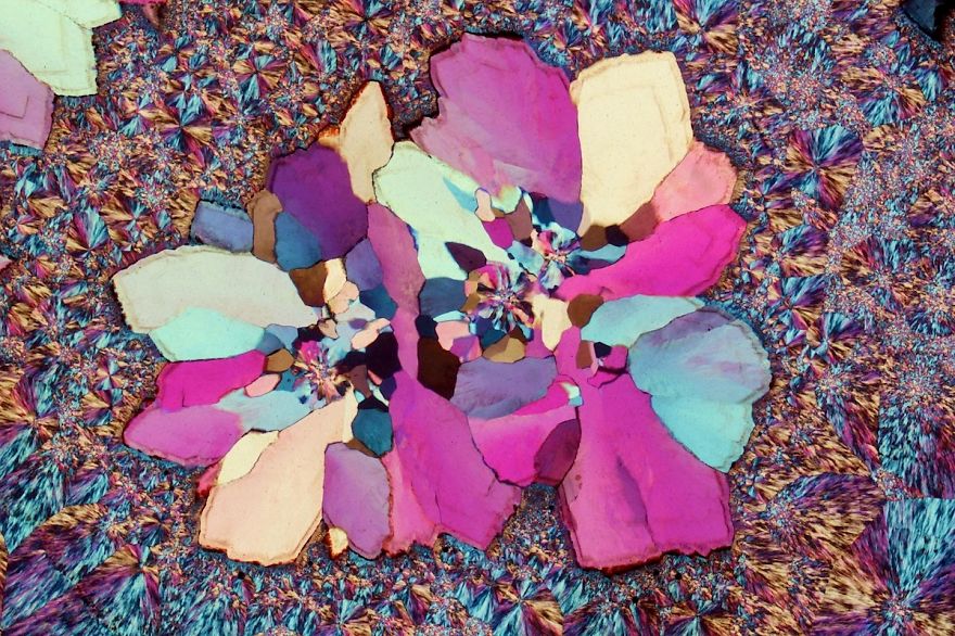 Inside A Rock! Stunning Images Of Ocean Jasper Macro To Micro