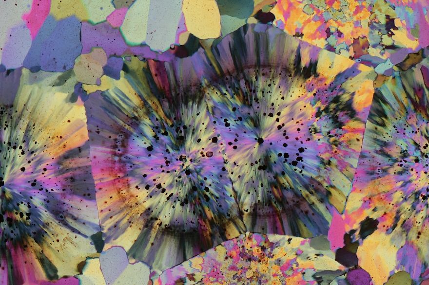 Inside A Rock! Stunning Images Of Ocean Jasper Macro To Micro