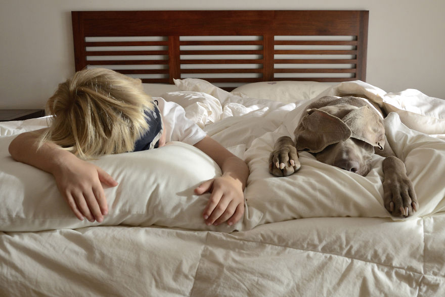 My Dog Bruma Is A Very Special Protagonist In My Photography My Dog Bruma Is A Very Special Protagonist In My Photography