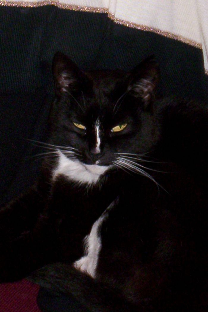 Ebony N Ivory (exclamation Mark On Face)