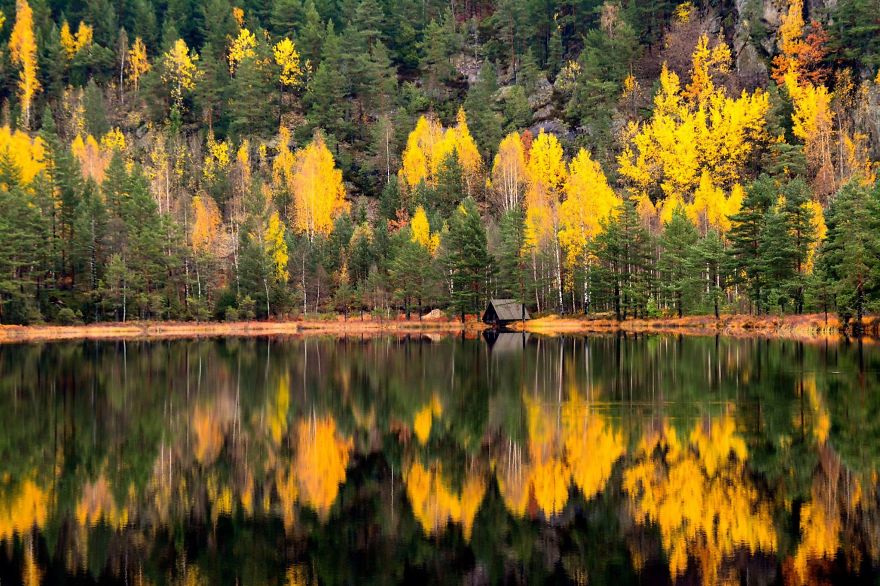 Hillestadheia Autumn