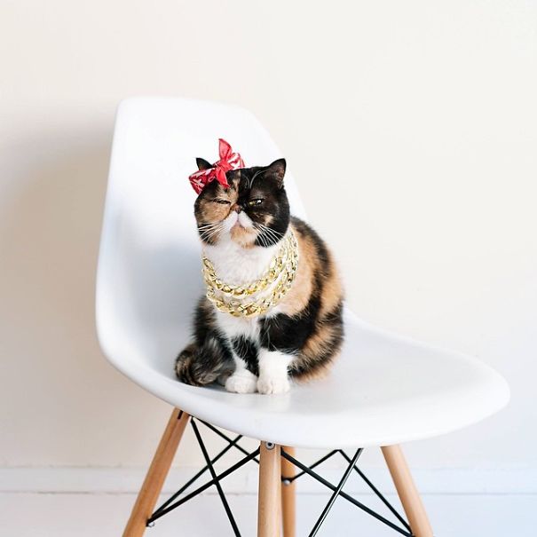 Pudge, The Girl With A Moustache