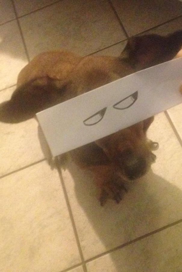 I Hate Photos Ugh....