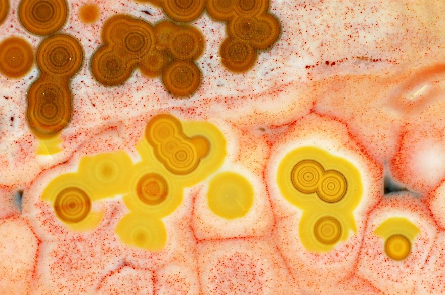 Inside A Rock! Stunning Images Of Ocean Jasper Macro To Micro Inside A Rock! Stunning Images Of Ocean Jasper Macro To Micro