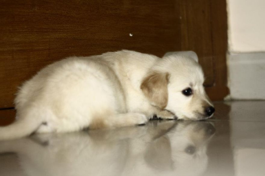 Thinking Mode - Lycka