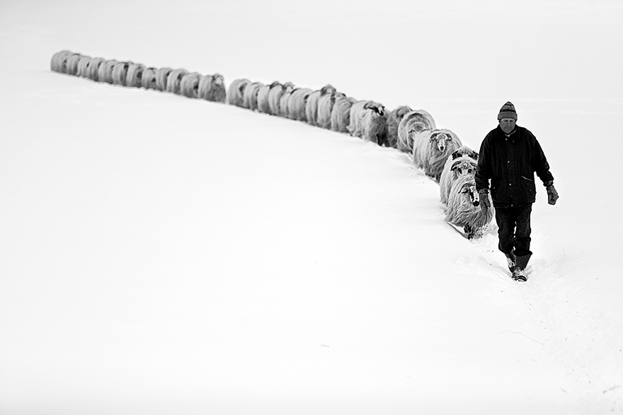 Winter In Transylvania