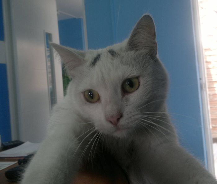 Vivi And Her Eyebrows