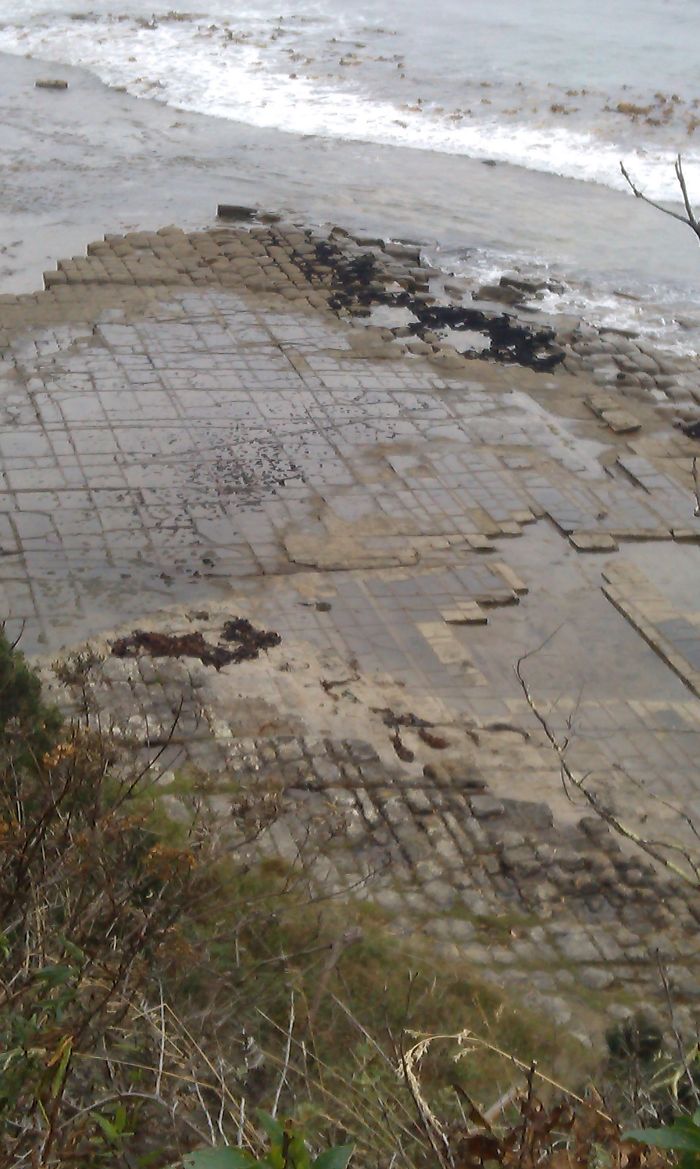 Tessellated Pavements, Tasmania, Aus.
