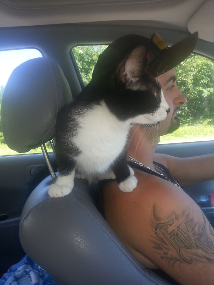 Lana On Her Dads Shoulders Whileat A Stop Sign.