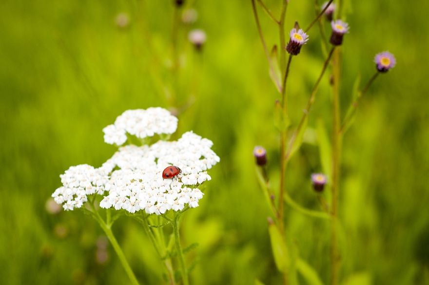 23 Year Old Hitchhiker Carries Camera For An Entire Year To Capture Canada's Wild Beauty 23 Year Old Hitchhiker Carries Camera For An Entire Year To Capture Canada's Wild Beauty